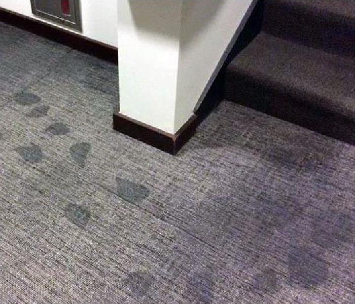 water damaged carpeting