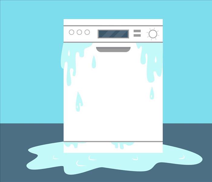 dishwasher leaking water