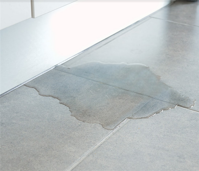 a puddle of water on the grey tile floor of a kitchen