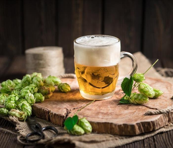 beer in mug with hops plant nearby