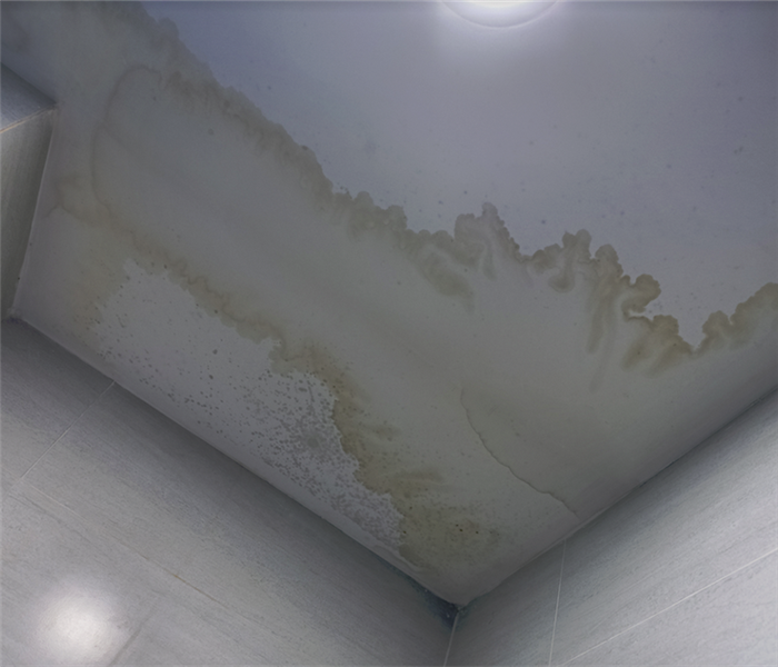 a wet ceiling with mold growing on it