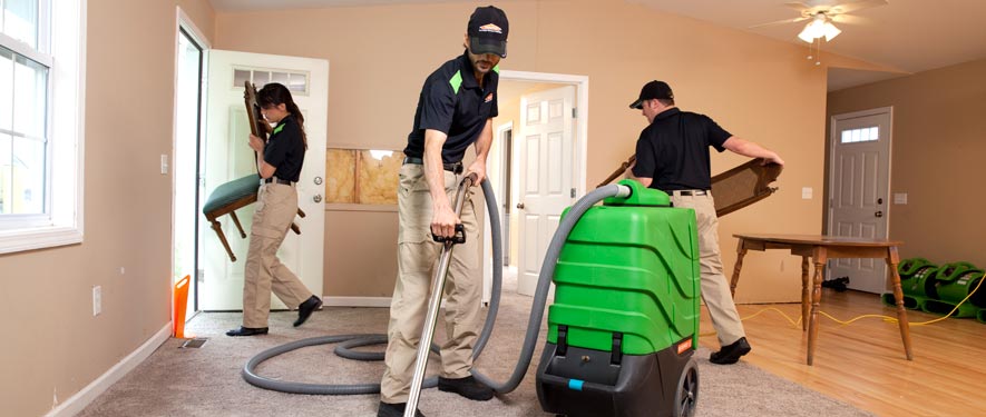 Kent, WA cleaning services